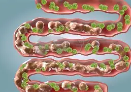 ML便?@;的简单介绍